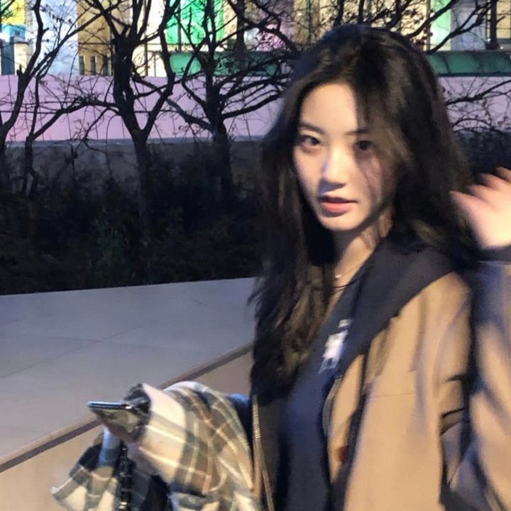 鲨鱼杀手